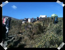 AXA Wealth Climb Kilimanjaro Challenge 2011